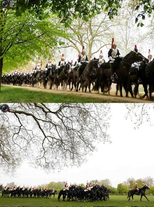 영국 왕실 기마대.jpg