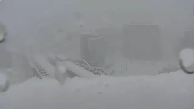 이번 홋카이도 폭설수준