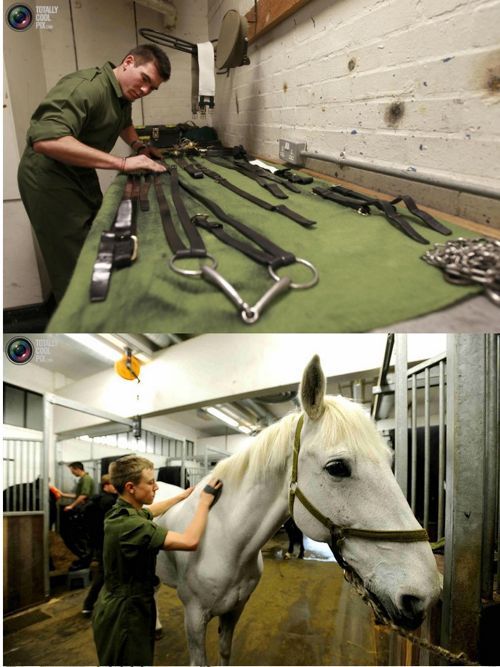 영국 왕실 기마대.jpg