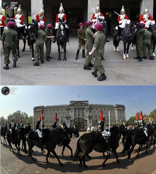 영국 왕실 기마대.jpg