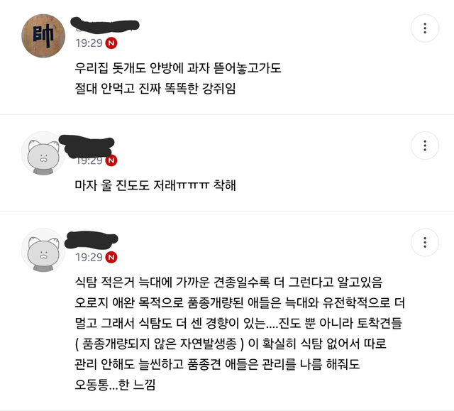 진돗개는 식탐 조절을 잘한다
