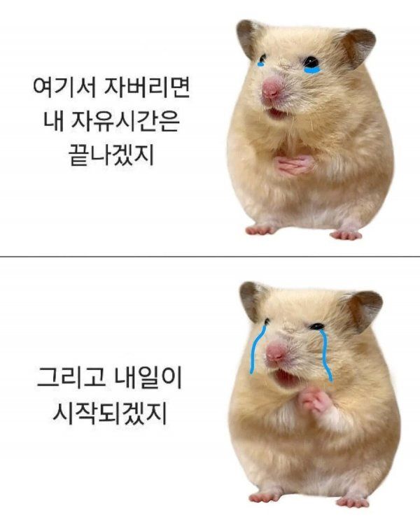 직장인 잠들기전 최대고민