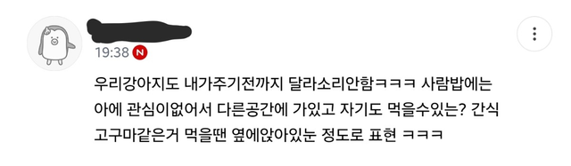 진돗개는 식탐 조절을 잘한다