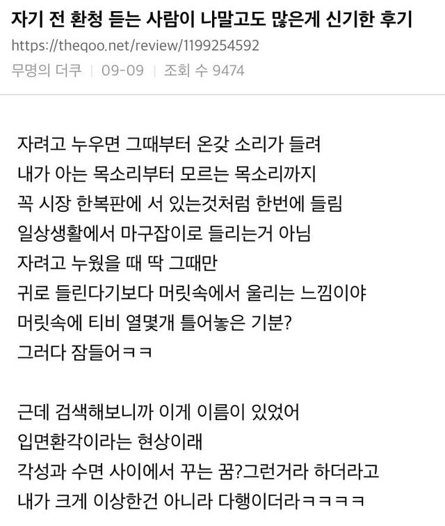 자기 전 환청 듣는 사람들