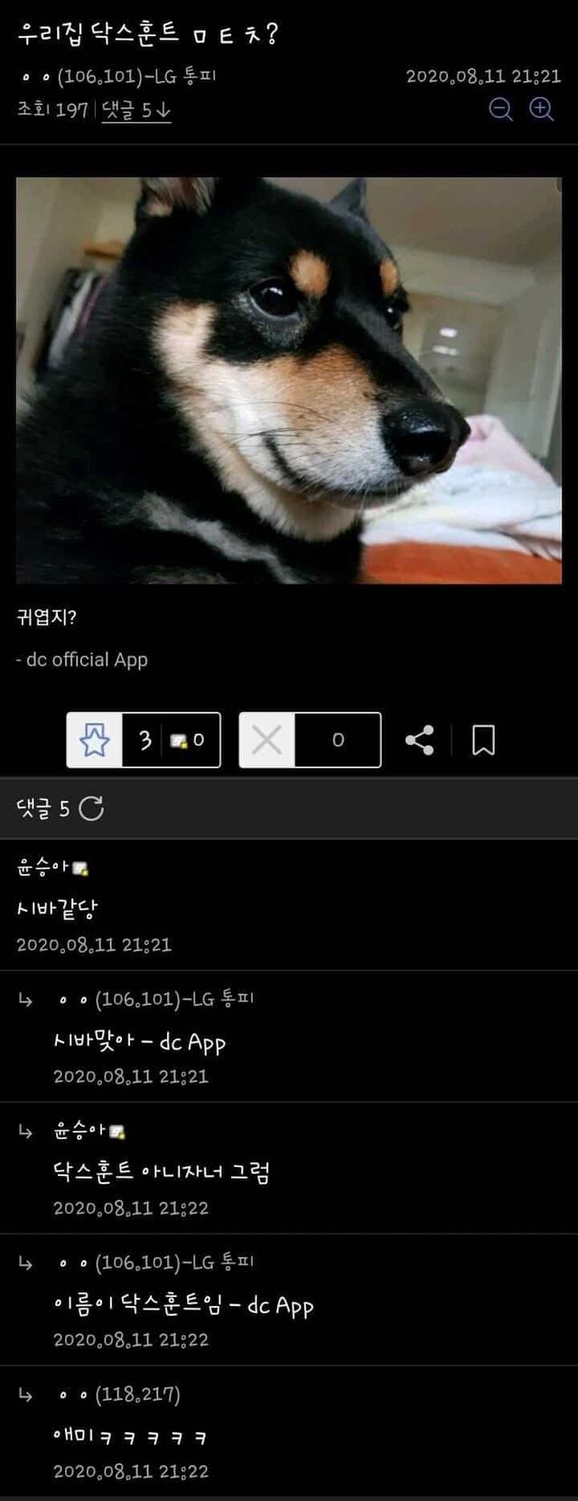 자기집 댕댕이 자랑하는 사람.jpg