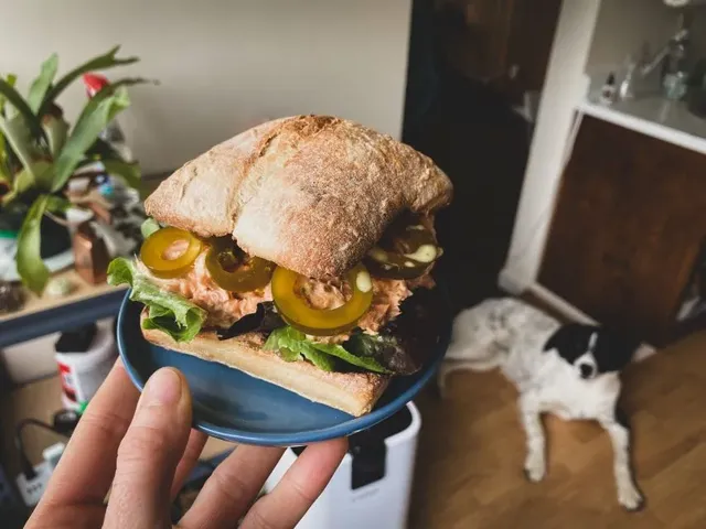 한국에선 보기 힘든 외국에서만 먹는 피클