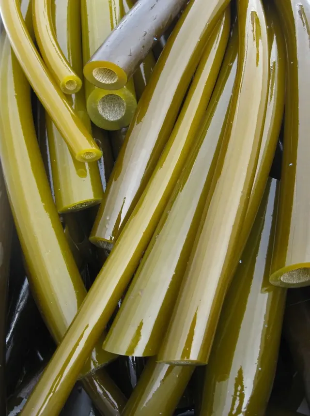 한국에선 보기 힘든 외국에서만 먹는 피클