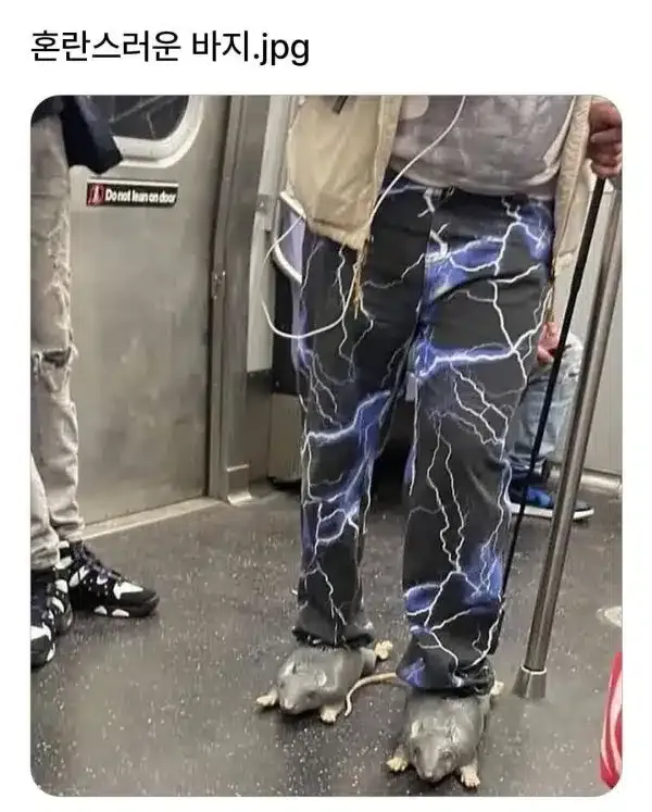 혼란스러운 바지