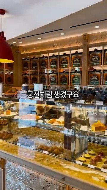 보겸... 커피 한잔에 140만원하는 커피 후기 ㄷㄷㄷ