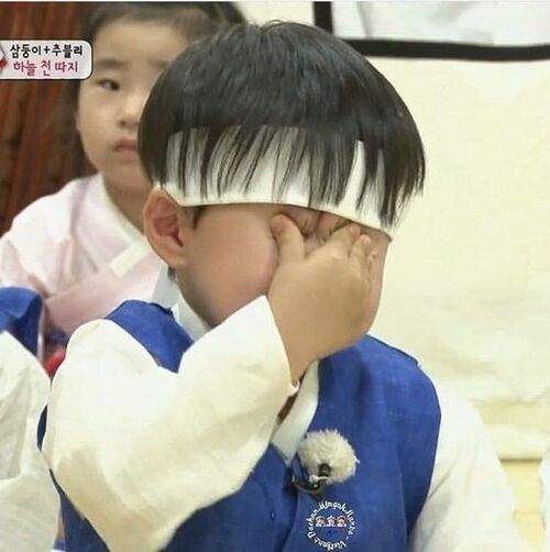 다이소 접시가 녹았어요 ㅠ