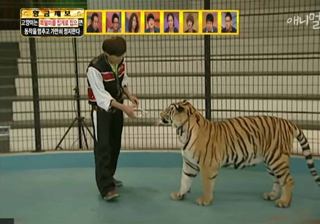 10여년 전 방송 클라스