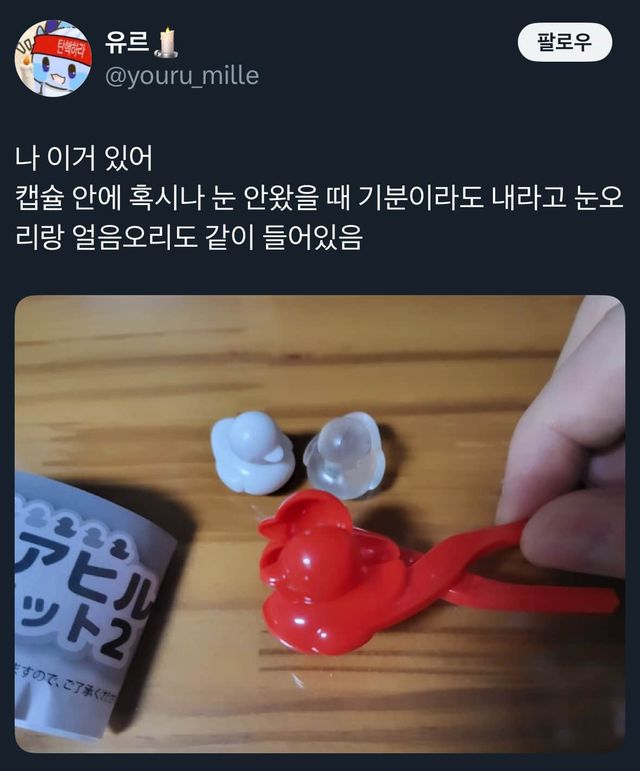 부산사람을 위한 눈오리 집게.twt