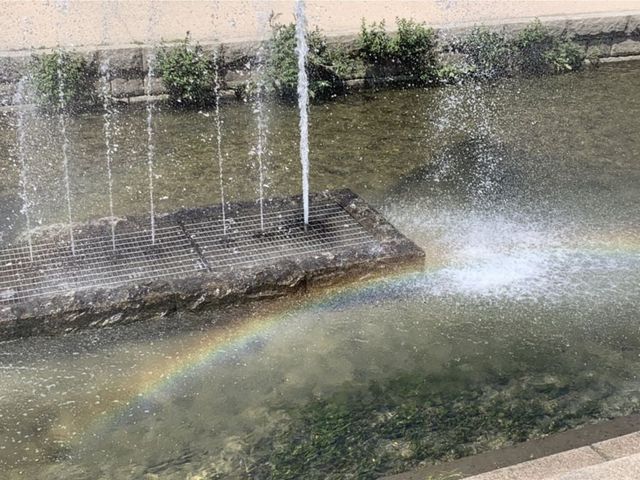 청계천 할아버지가 알려준 무지개 명당 🌈