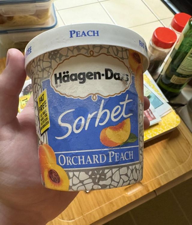 미국에서 댓글 1000개 넘게 달린 할머니집 냉장고의 하겐다즈