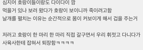 두루미가 아시아에서 좋은 대우 받았던게 존나 쎄서란거 신기함ㅋㅋㅋ