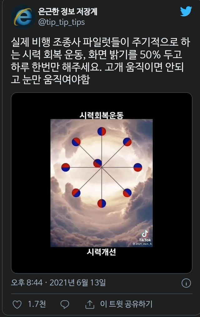 실제 비행 조종사 파일럿들이 주기적으로 하는 시력 회복 운동.twt