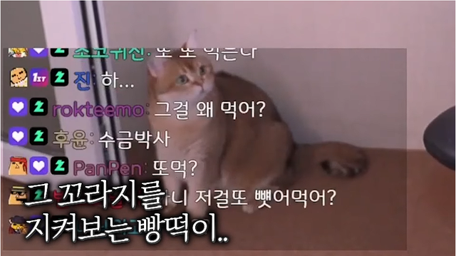 ㅇㅂ)인간이길 포기한 스트리머.jpg