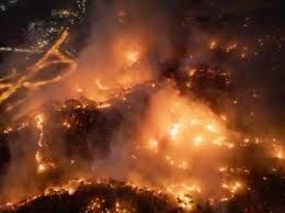 참담한 의성-안동 산불 문화유산 소실 근황