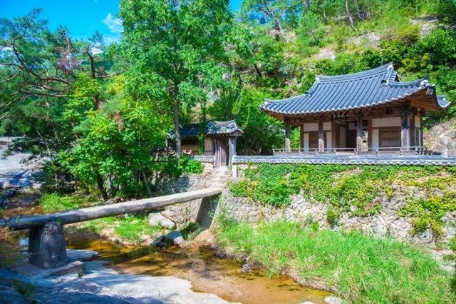 참담한 의성-안동 산불 문화유산 소실 근황