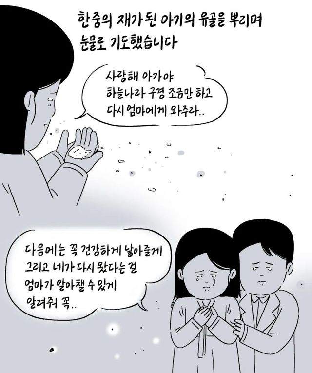 오늘도 눈물콧물 하게 하는 키크니 사연