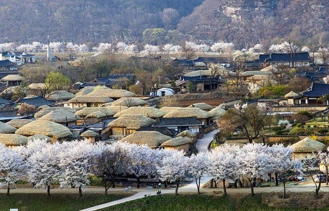 참담한 의성-안동 산불 문화유산 소실 근황