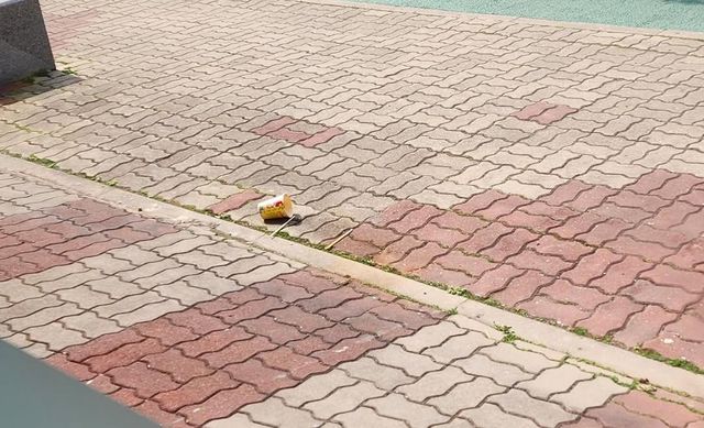 컵라면&nbsp;먹고 남의 집 가게 앞에다 버린 학생