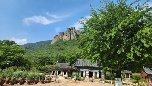 참담한 의성-안동 산불 문화유산 소실 근황