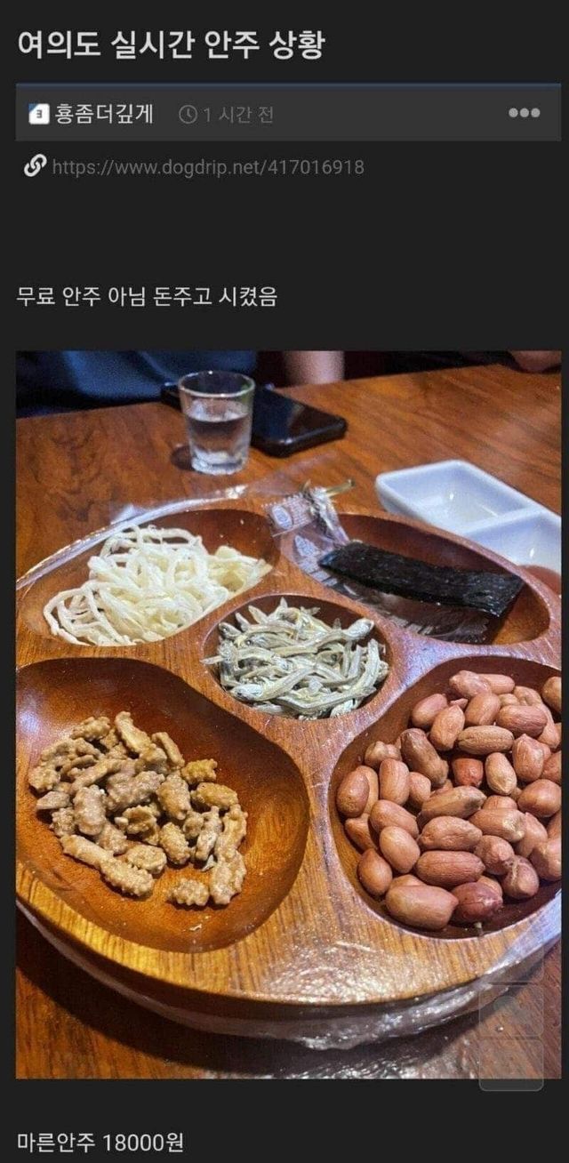 자기 돈으로 술 마시면 멍청이 소리 듣는 곳