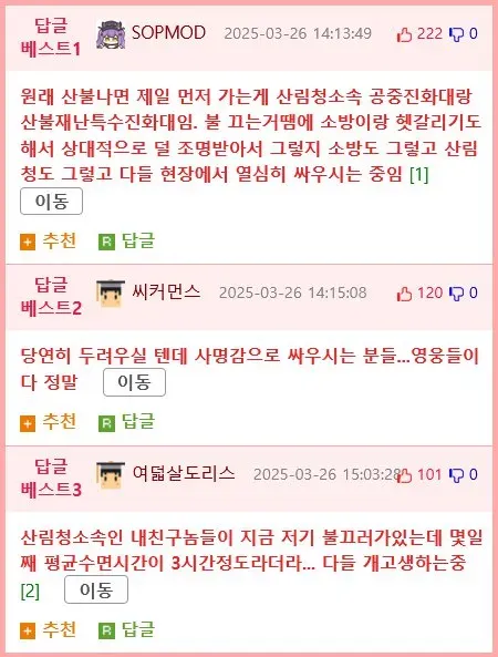 산불 재난 특수 진화대라는게 있었네요