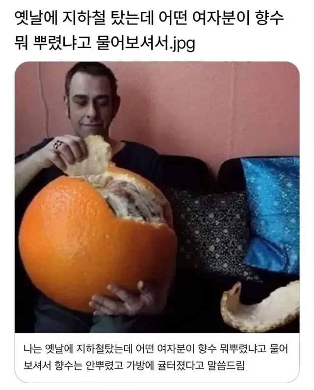 제가 쓰는 향수는