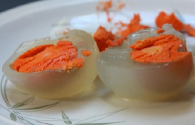 진짜 몰랐던 삶은 펭귄 알의 진실