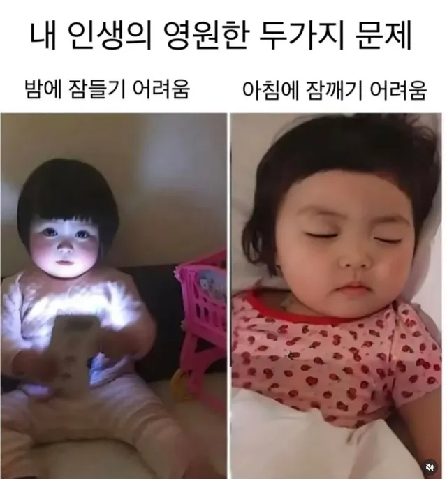 내 인생의 영원한 두가지 문제