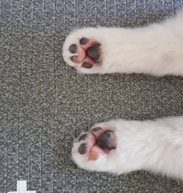 오빠 전여자친구가 내 스토리 맨날 보는데