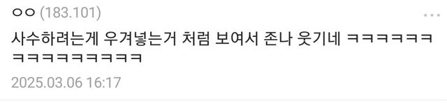 햄버거 훔쳐먹는 ㅈ냥이