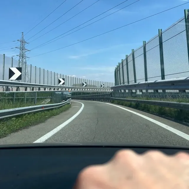 사진으로 만들어진 콜라주 작품들