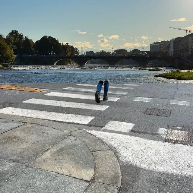 사진으로 만들어진 콜라주 작품들