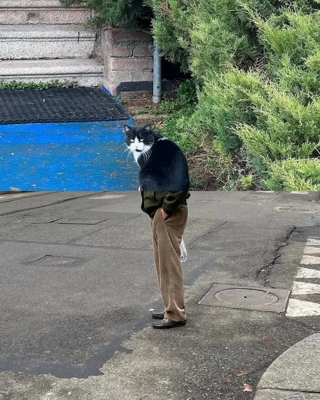 사진으로 만들어진 콜라주 작품들