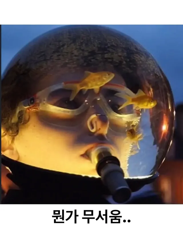 네덜란드에 있는 실제 아쿠아맨 ㄷㄷ