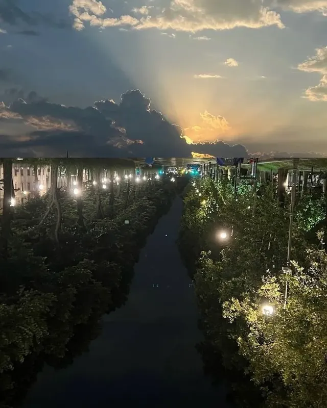 사진으로 만들어진 콜라주 작품들