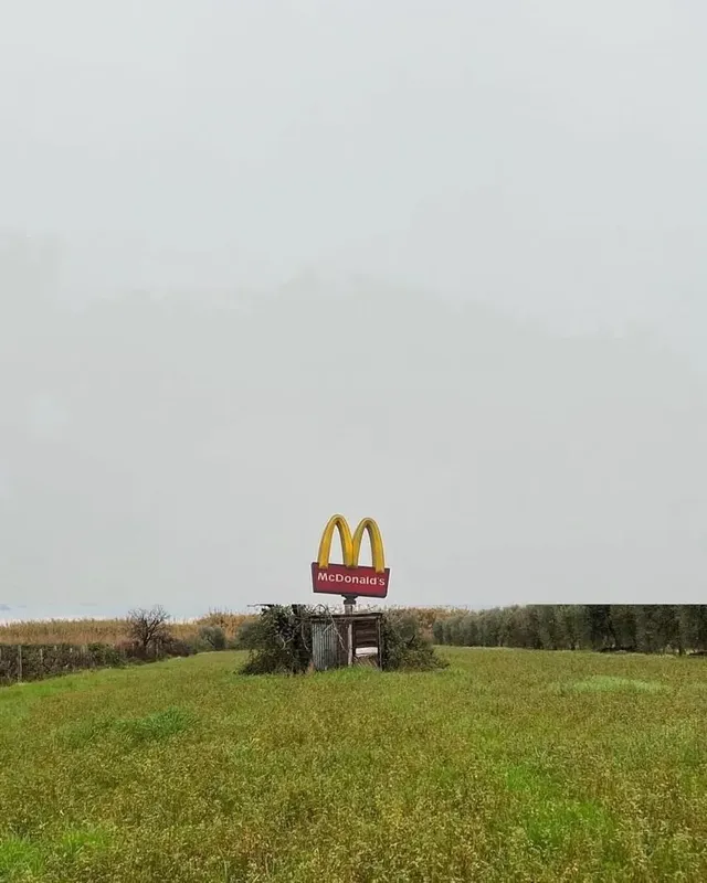 사진으로 만들어진 콜라주 작품들