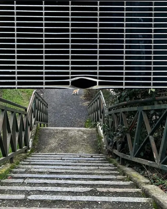 사진으로 만들어진 콜라주 작품들