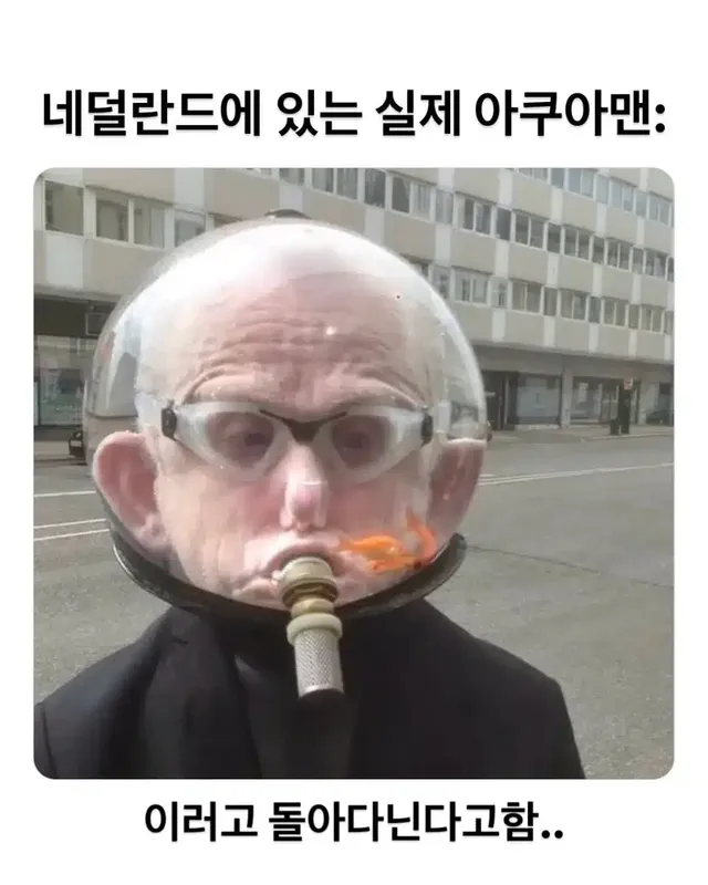 네덜란드에 있는 실제 아쿠아맨 ㄷㄷ
