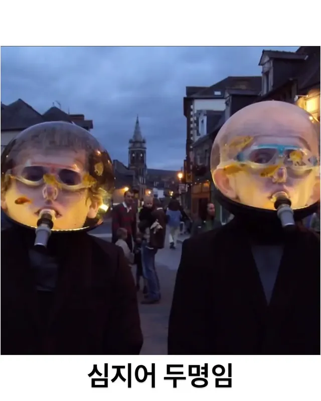 네덜란드에 있는 실제 아쿠아맨 ㄷㄷ