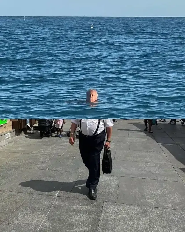 사진으로 만들어진 콜라주 작품들