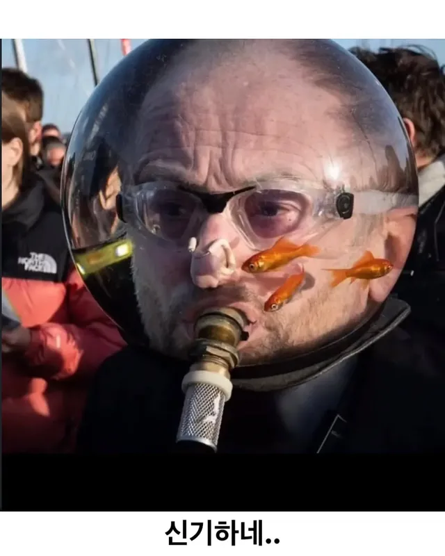 네덜란드에 있는 실제 아쿠아맨 ㄷㄷ