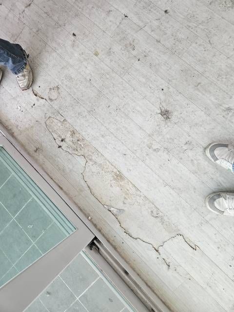 리트리버와 단 둘이 살았던 여자 임차인.jpg