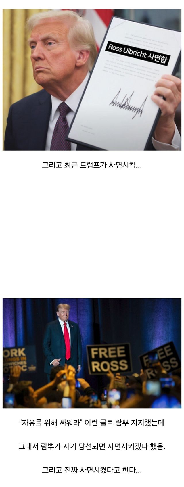 어느 해외 모범생 근황