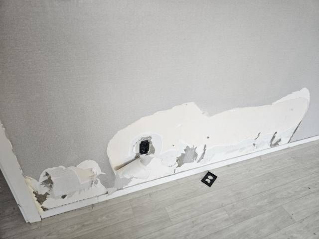 리트리버와 단 둘이 살았던 여자 임차인.jpg