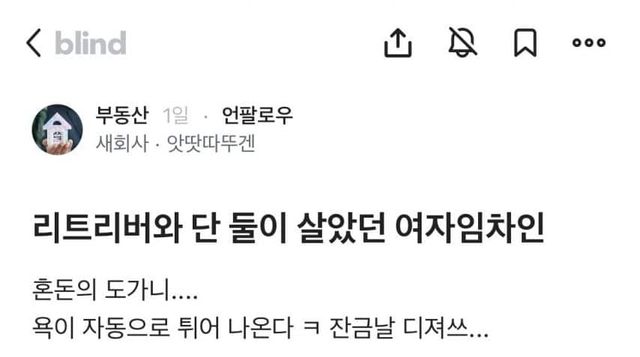 리트리버와 단 둘이 살았던 여자 임차인.jpg