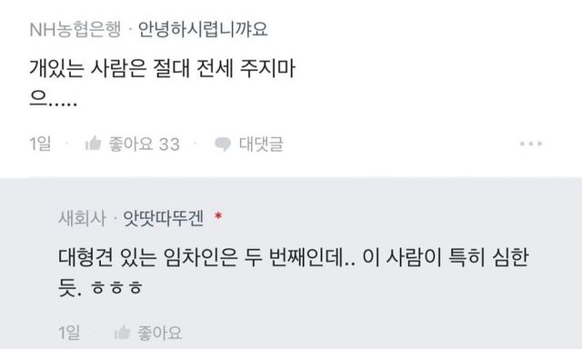 리트리버와 단 둘이 살았던 여자 임차인.jpg